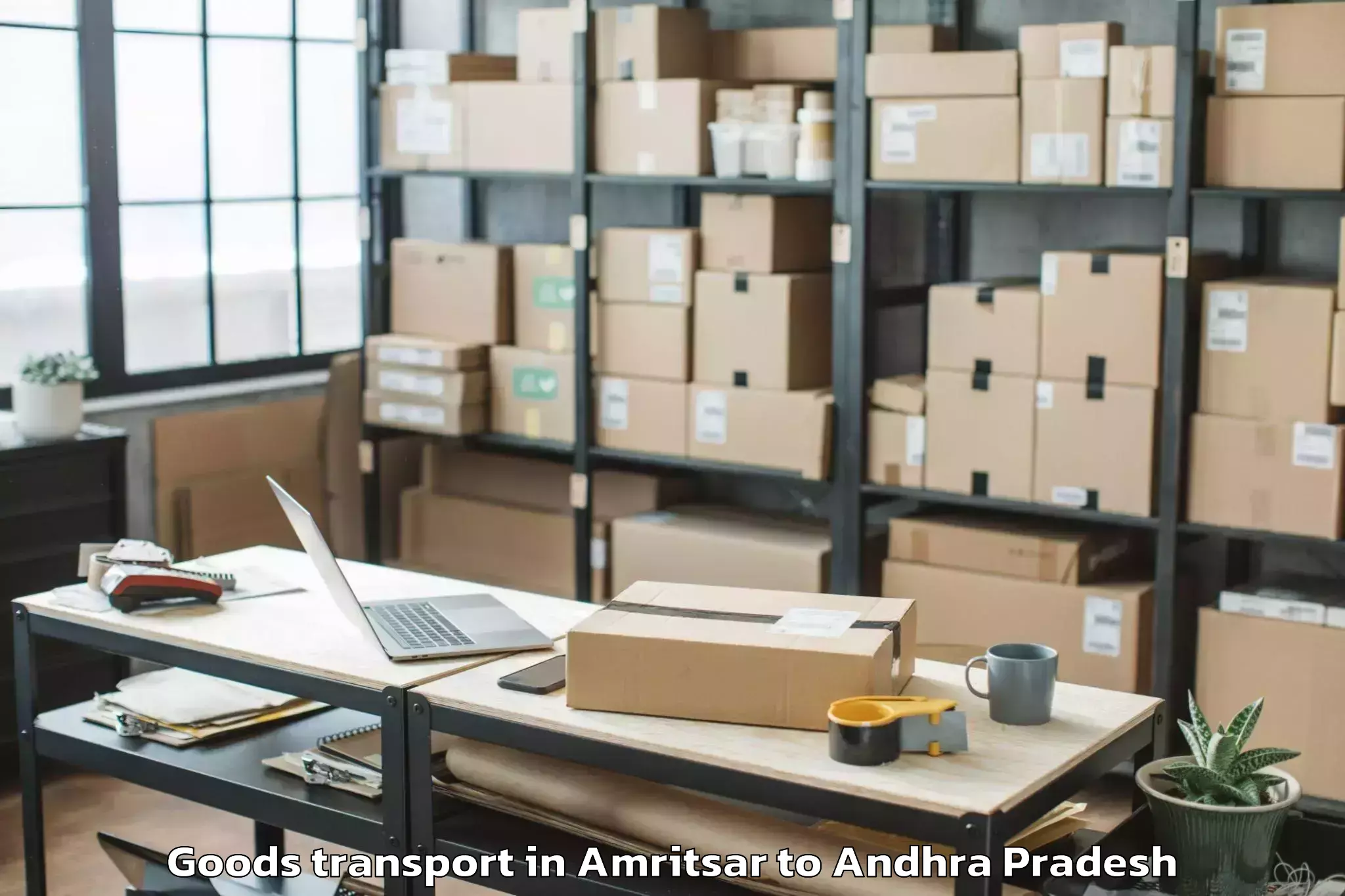 Professional Amritsar to Ongole Goods Transport